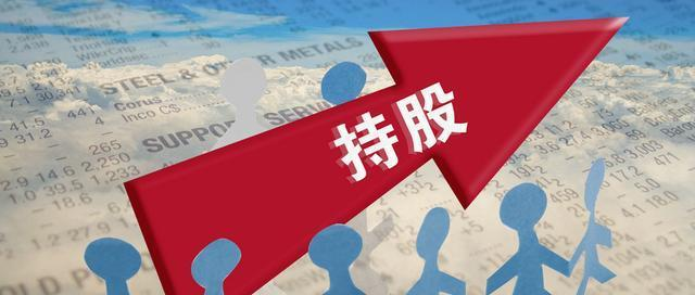 注册公司股东数